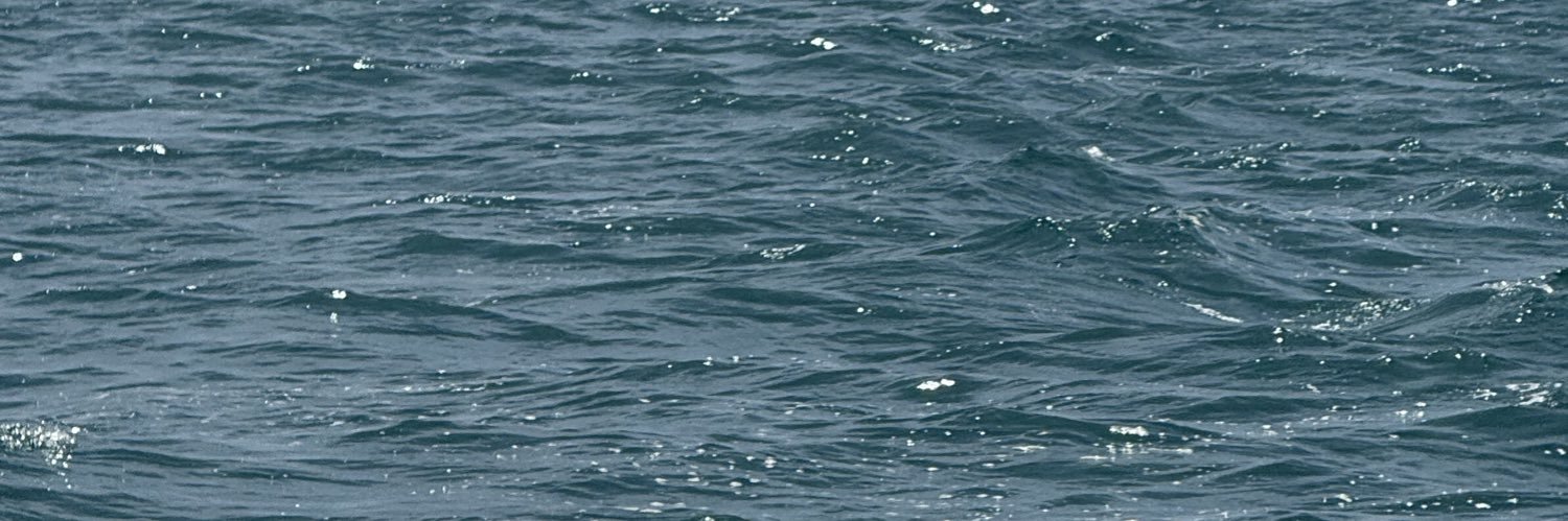 _thomaselliot's profile banner image