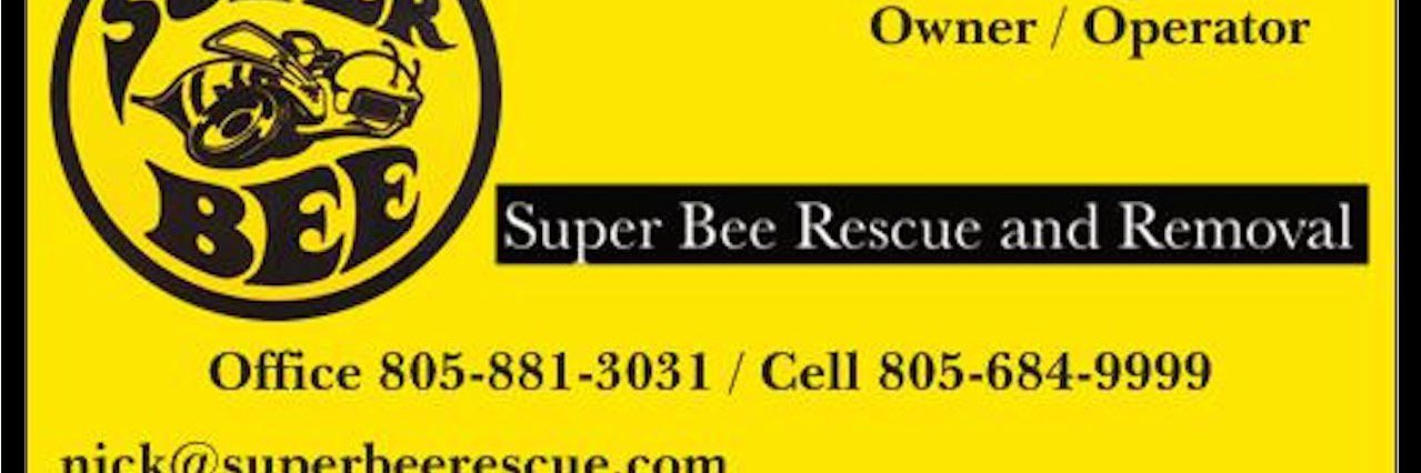 Super Bee Rescue and Removal (@Superbeerescue) / Posts / X