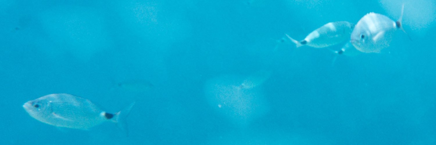 marbatlle's profile banner image