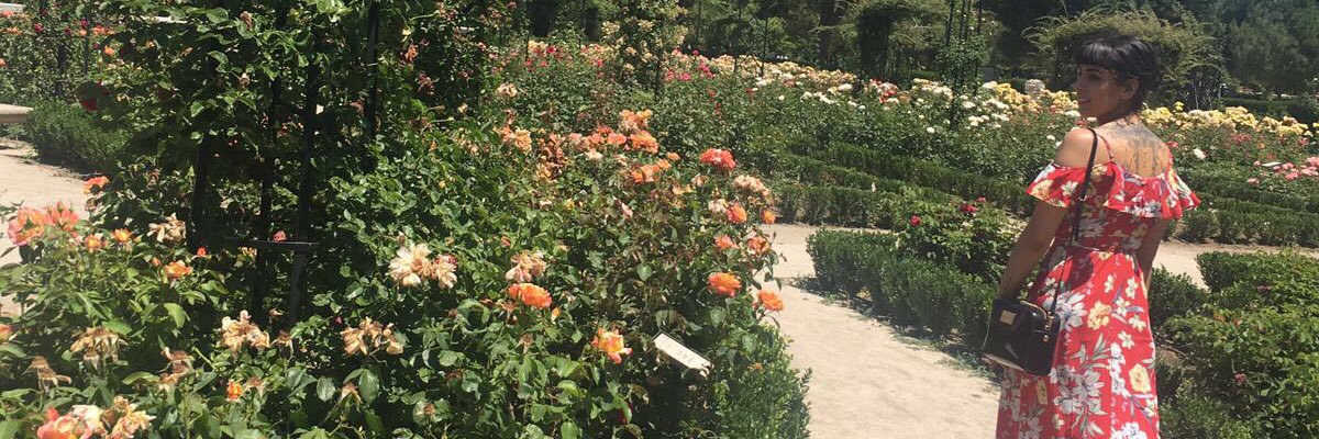 twitt_wada's profile banner image