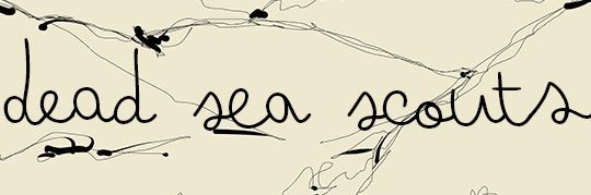 deadseascouts's profile banner image