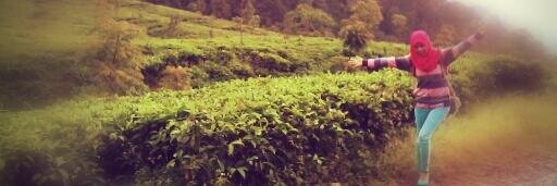 wanna banner