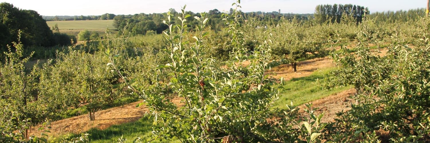 Oast Farm Buxted banner