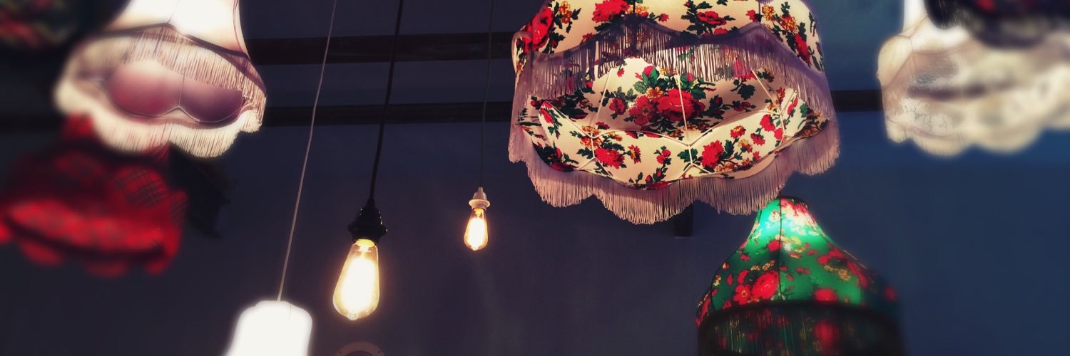 ChristelHoolans's profile banner image