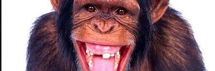 IlhamSatmata's profile banner image