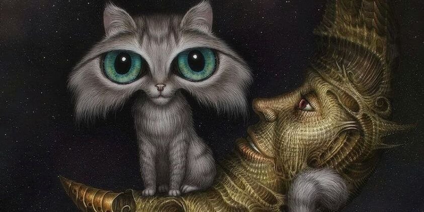 taliessa's profile banner image