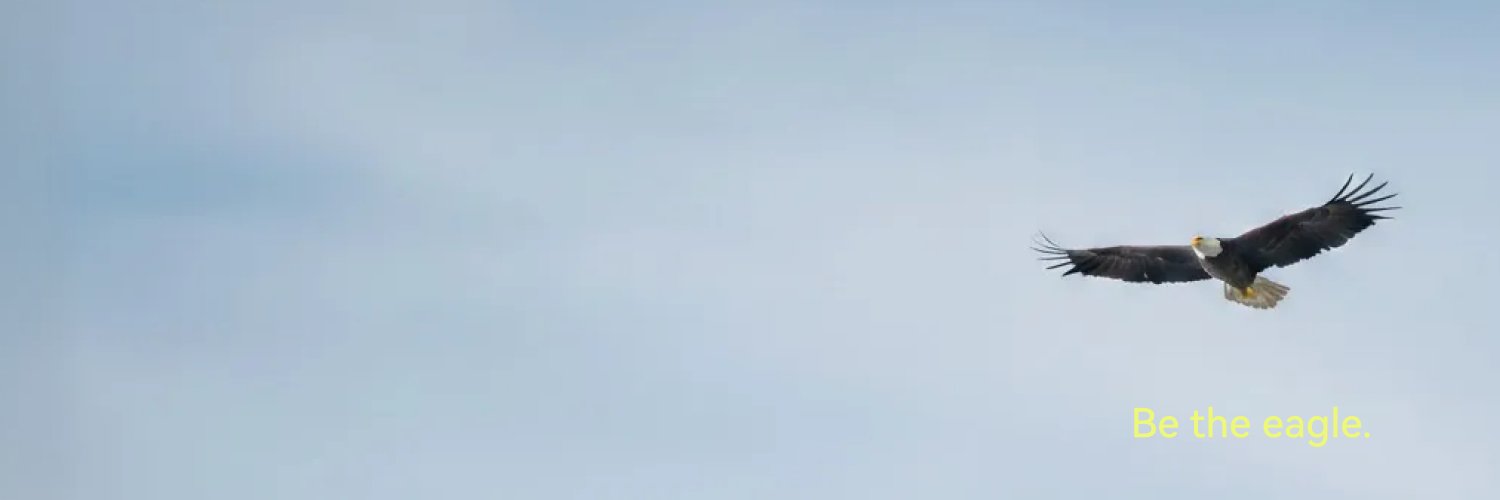 chenlicool's profile banner image