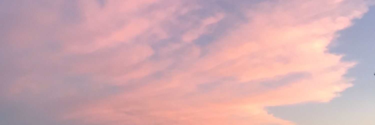 AddisonAlthoff's profile banner image