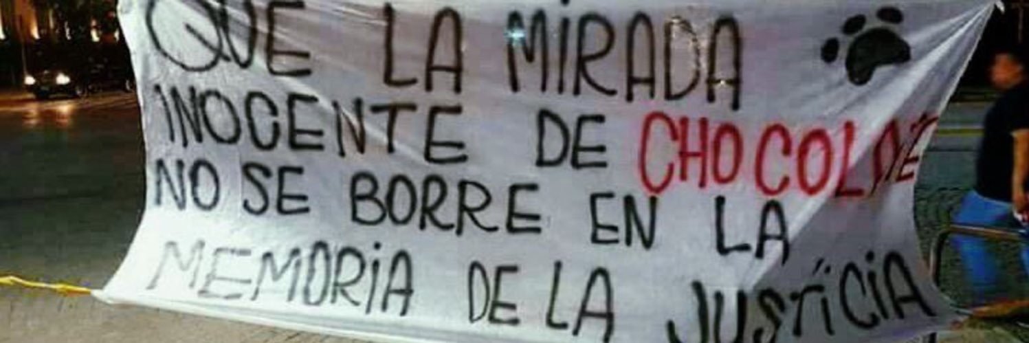 Danitaboro's profile banner image
