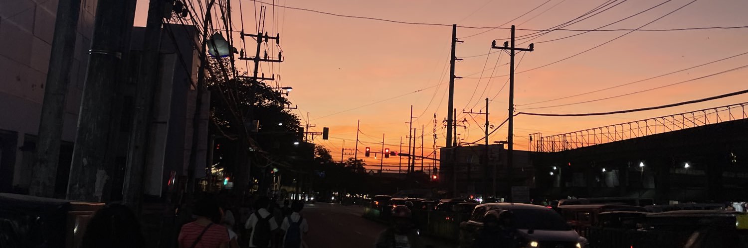 lnmaryjoy's profile banner image