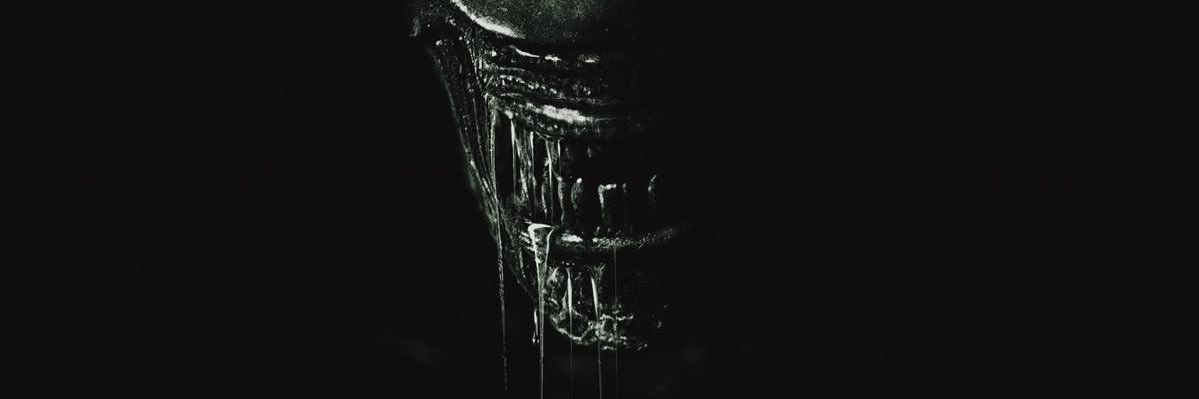 _kiwiokay's profile banner image