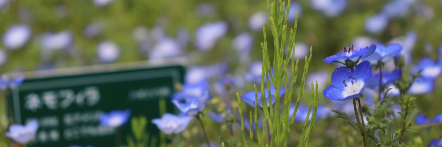 kensan0201's profile banner image