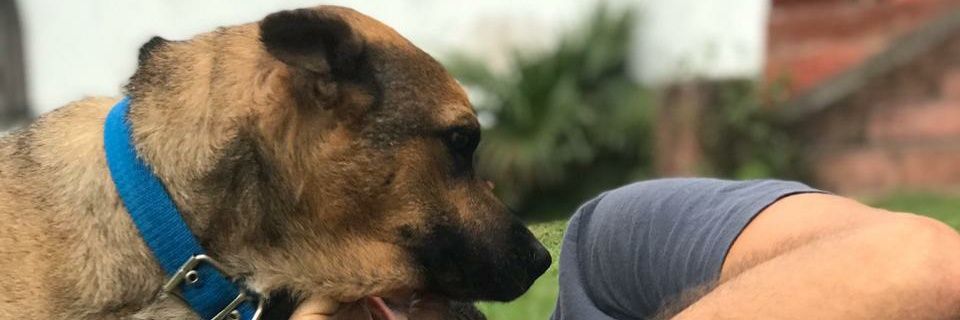 barichacho's profile banner image