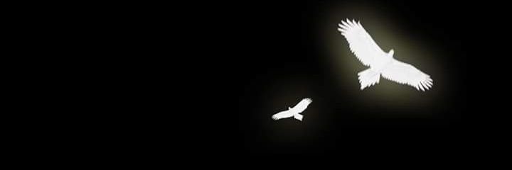jmcanlas04's profile banner image