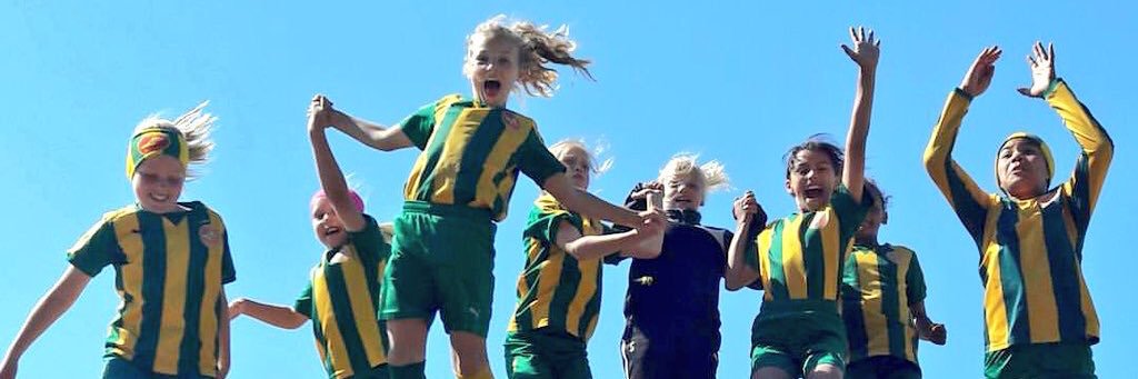 Puotinkylän Valtti banner