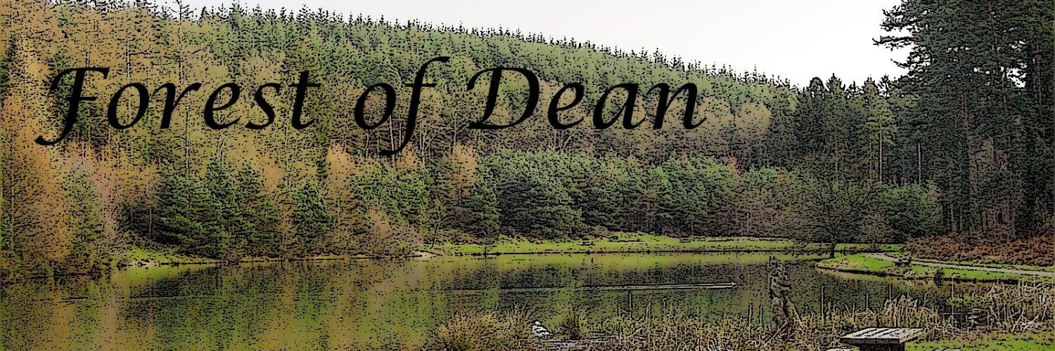 Forest of Dean banner