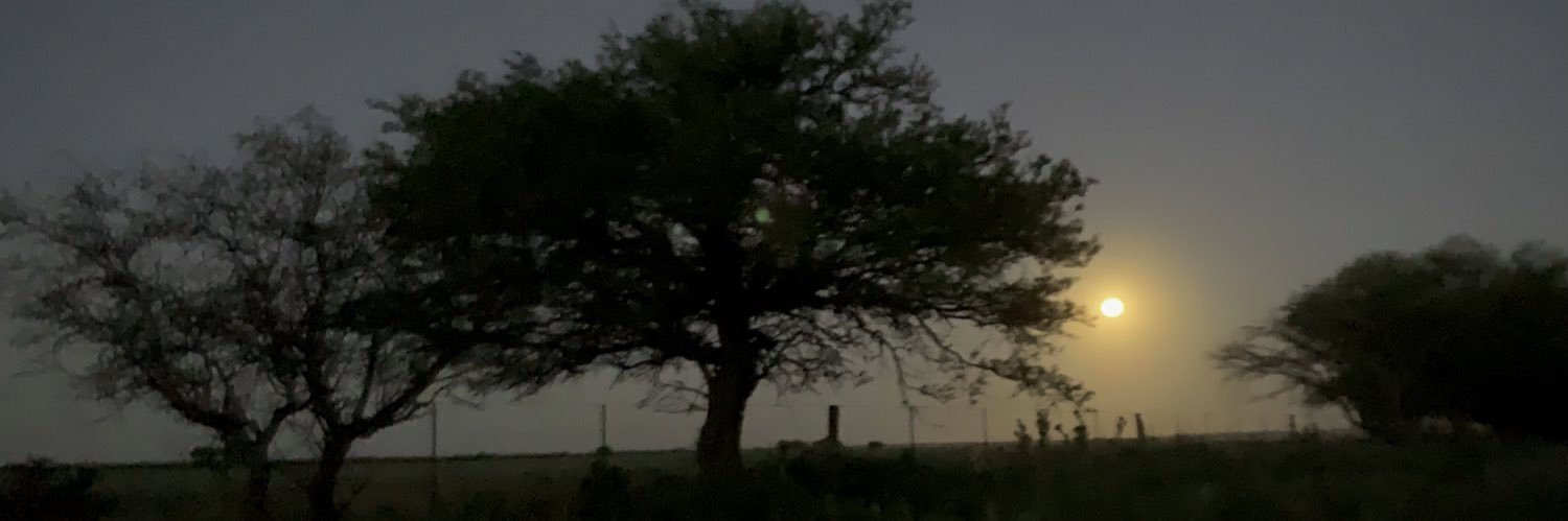 roquetazo's profile banner image