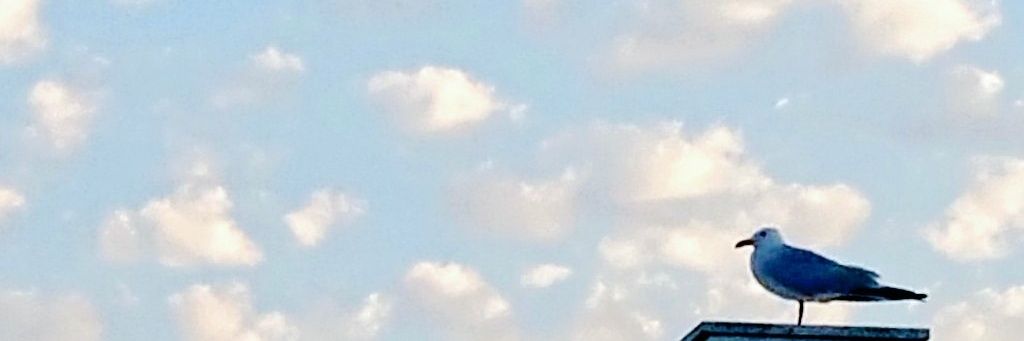 MiGoodhall's profile banner image