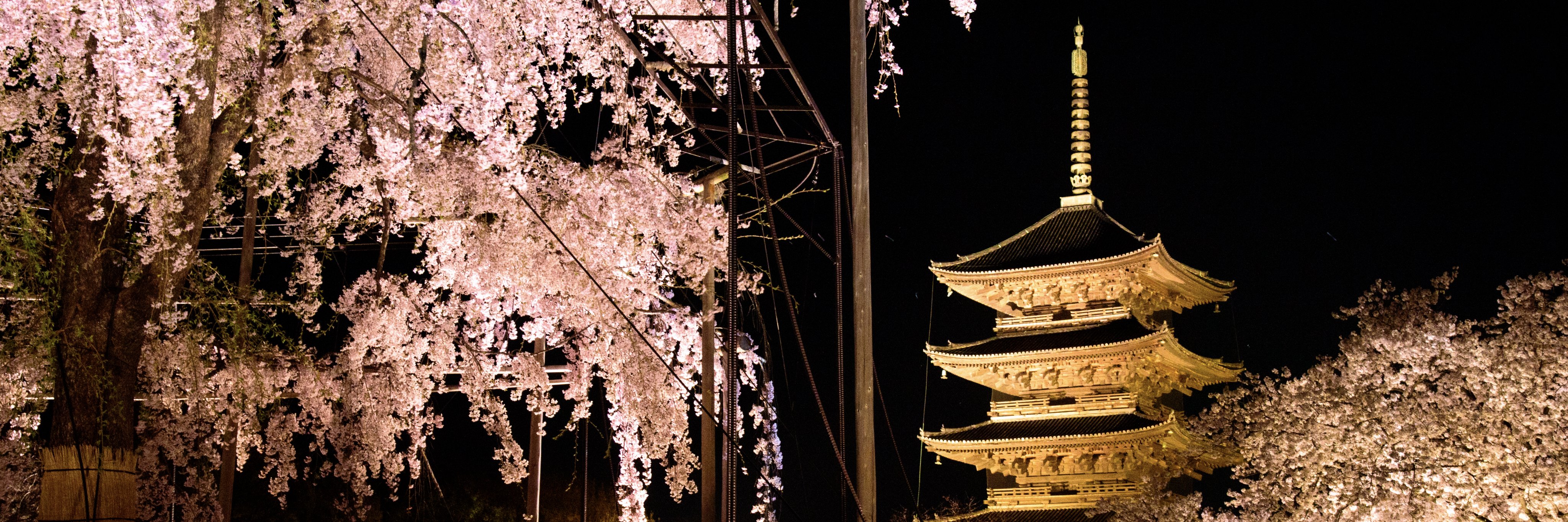 niceKenji's profile banner image