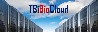 TBiBigData banner