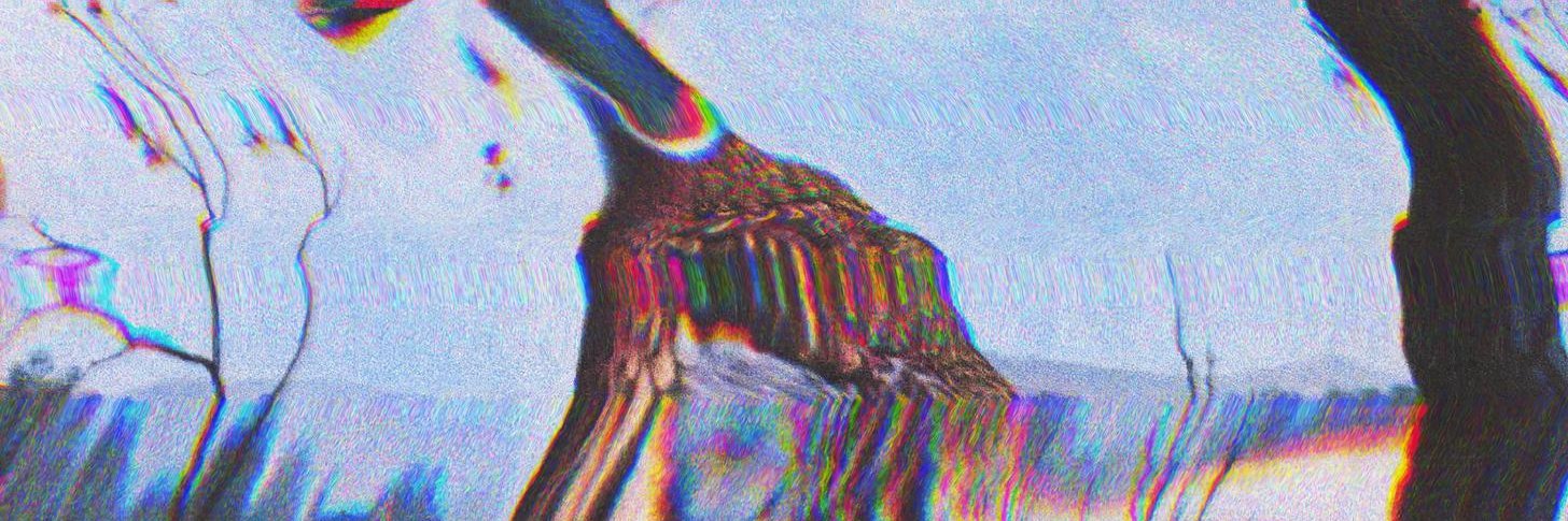 Dylan215's profile banner image