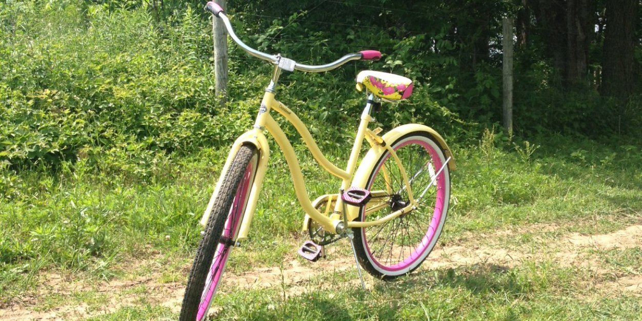 illinois princess banner