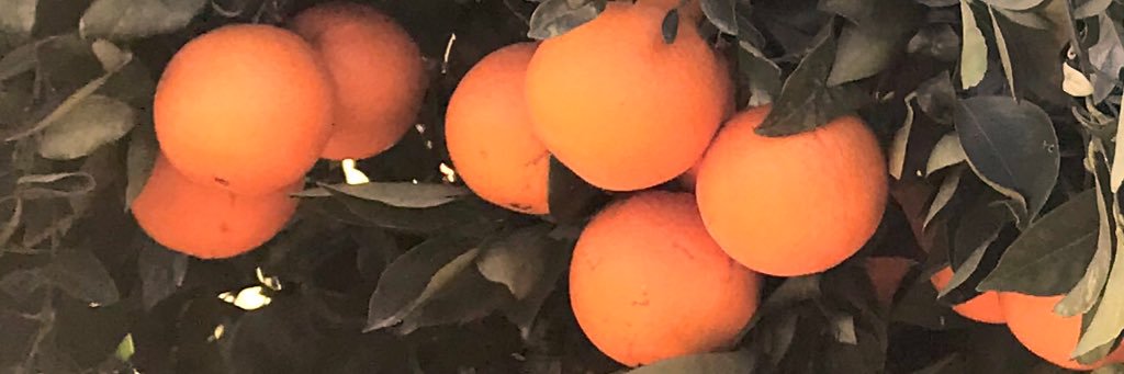 JorgeBellver's profile banner image