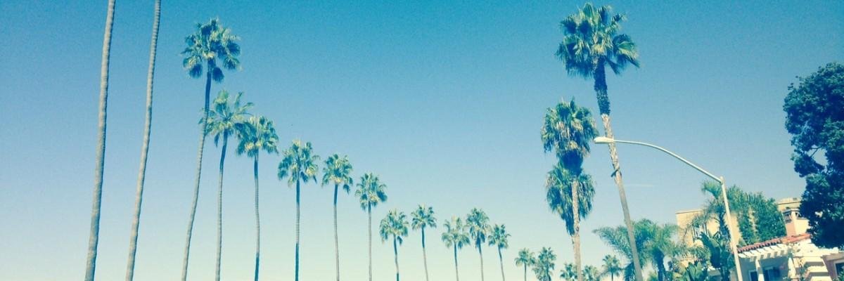 CheesyMagazine's profile banner image
