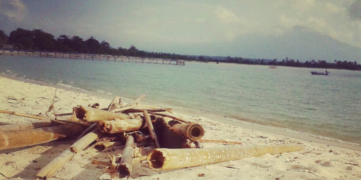 cetaamelia's profile banner image