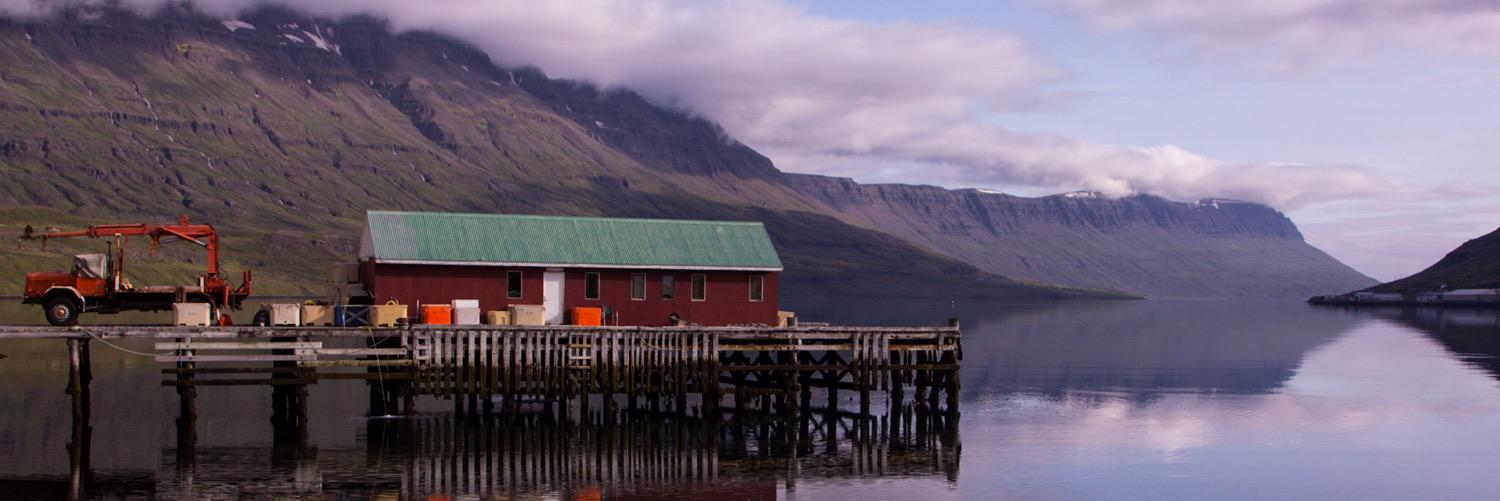 carrasprint's profile banner image