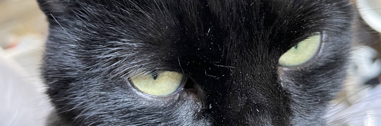 Guy Andrews-Scott banner