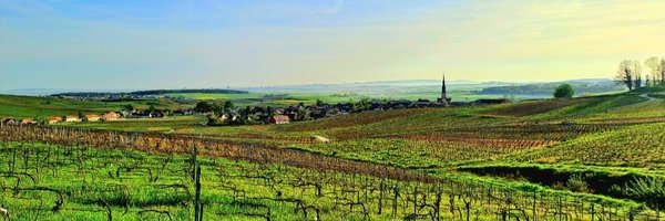 yannvelly Profile Banner