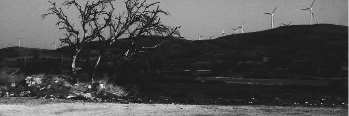 lekecommunity's profile banner image