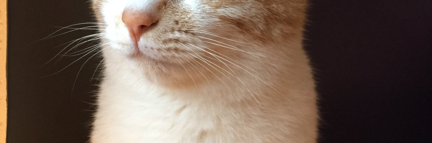 TooruBEATPOINT's profile banner image