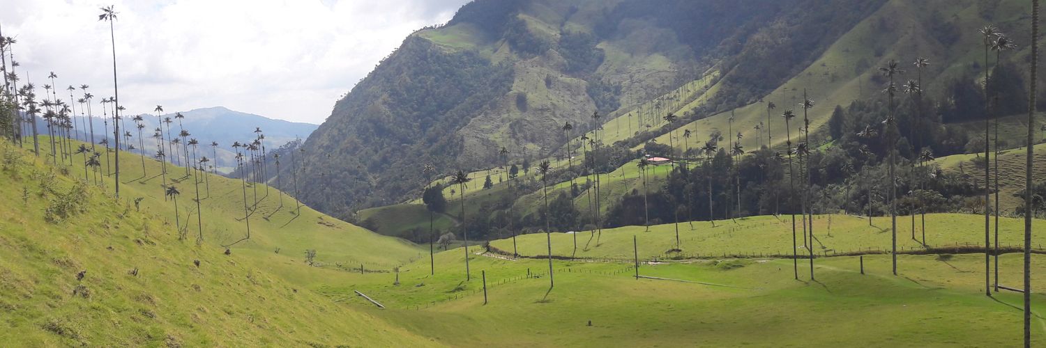 Chloé Convert banner