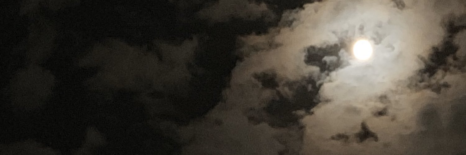 SyY37's profile banner image