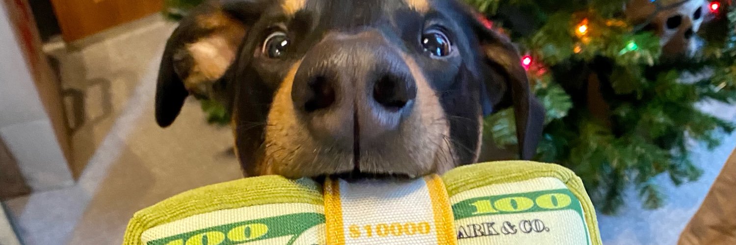 TimTufts's profile banner image