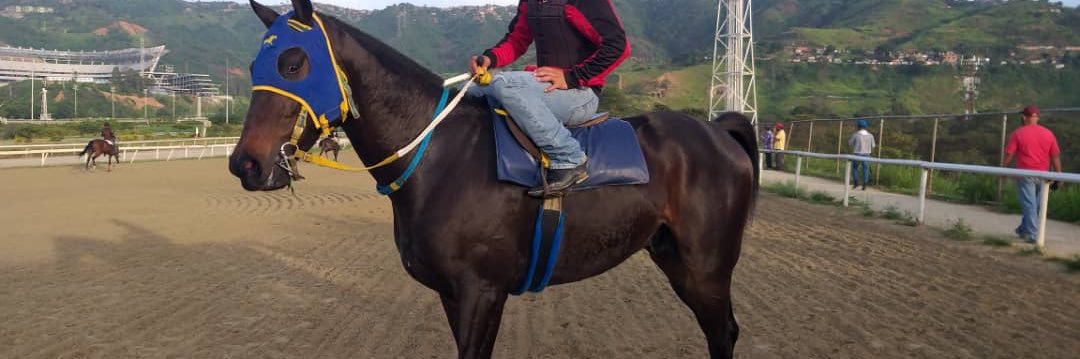 farithgonzalez's profile banner image