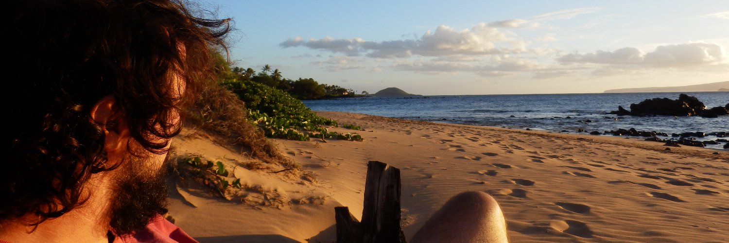 Claudio Parolo banner