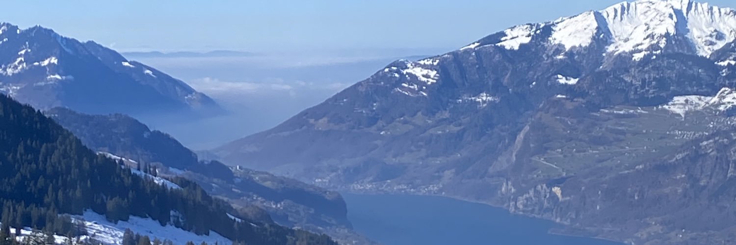 Karen Mormech banner