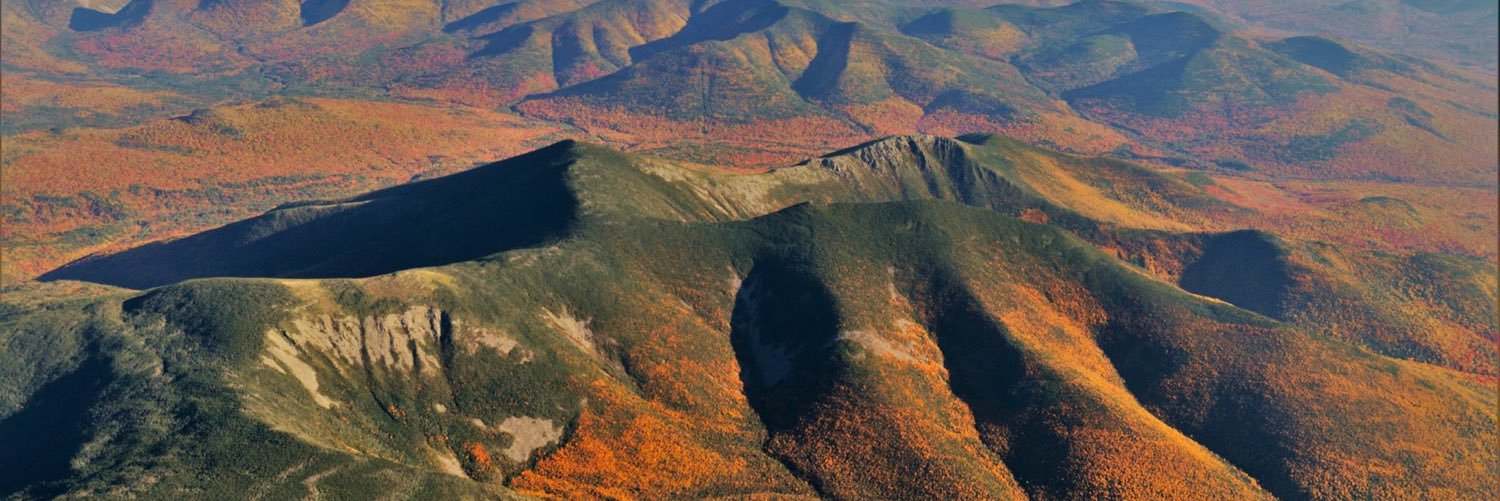 JWBear77's profile banner image