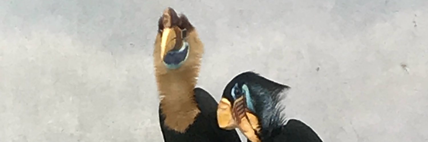 zaar65's profile banner image