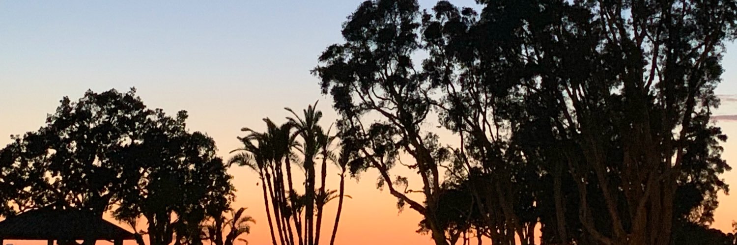 mjmadss's profile banner image