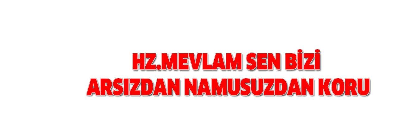 delidervisoglu's profile banner image