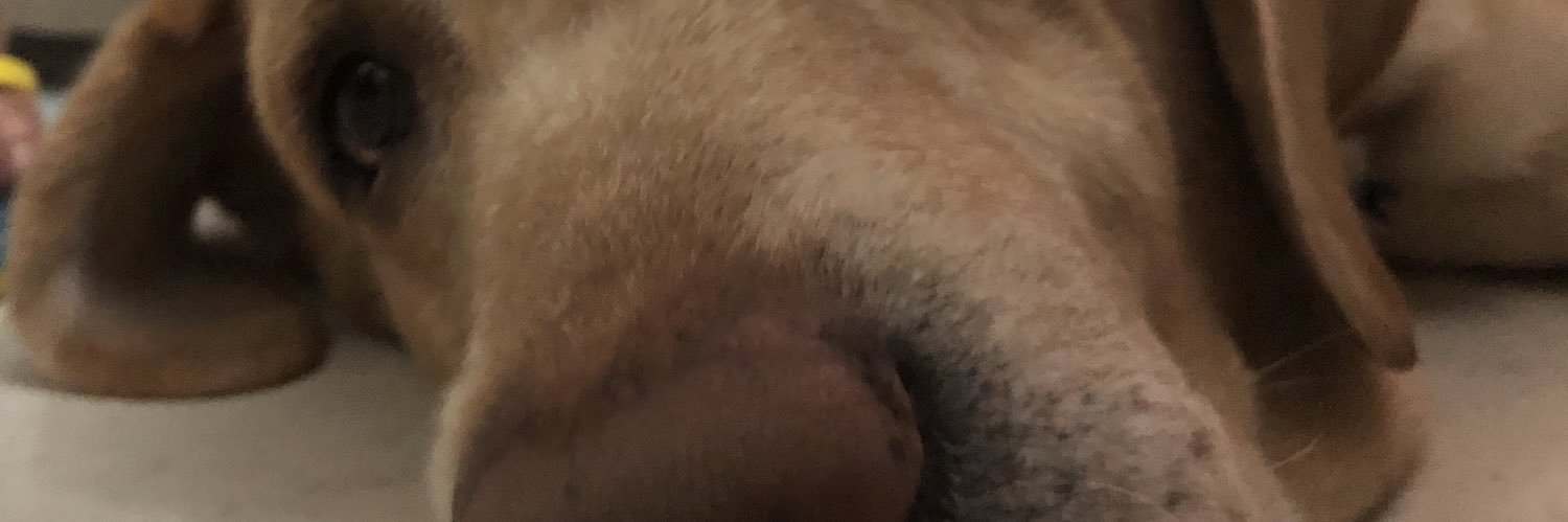 tapasyavarmaa's profile banner image