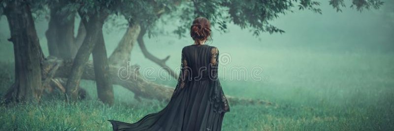 East Coast Evanora banner