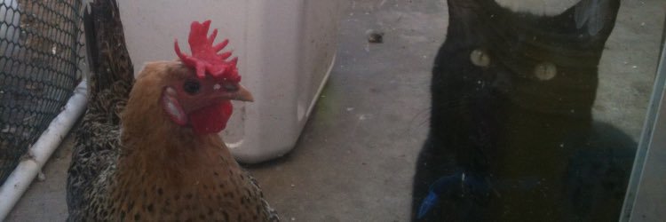 itsbeks404's profile banner image