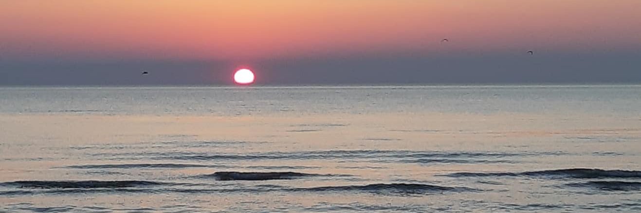 IrmaLohman's profile banner image