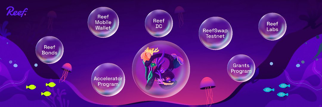 Reef_Chain_'s profile banner image