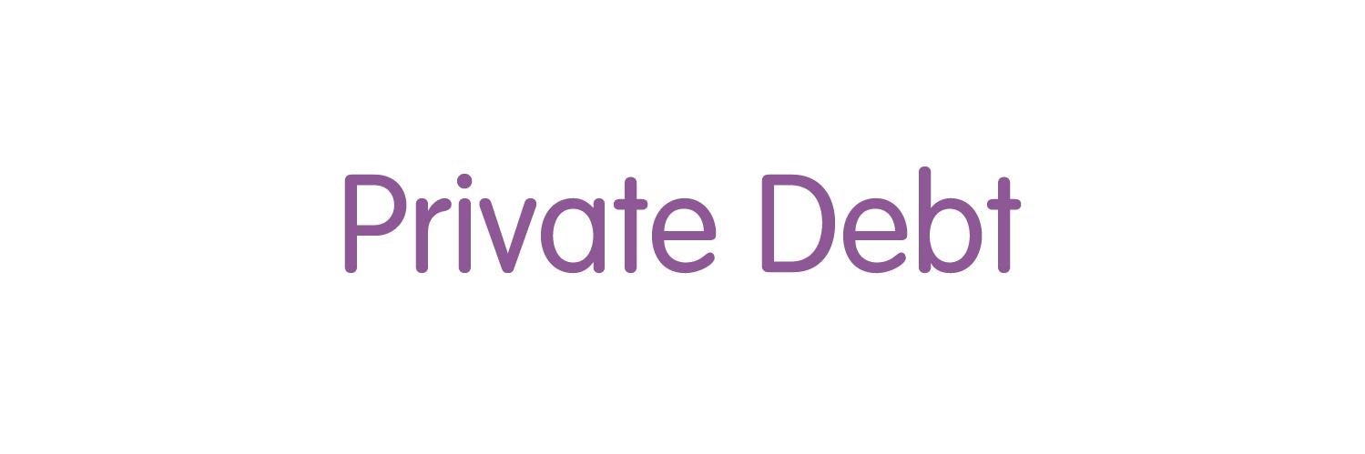 Private Debt banner